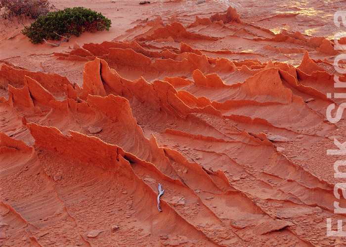Dragon Backs Rock Veins © Frank Sirona