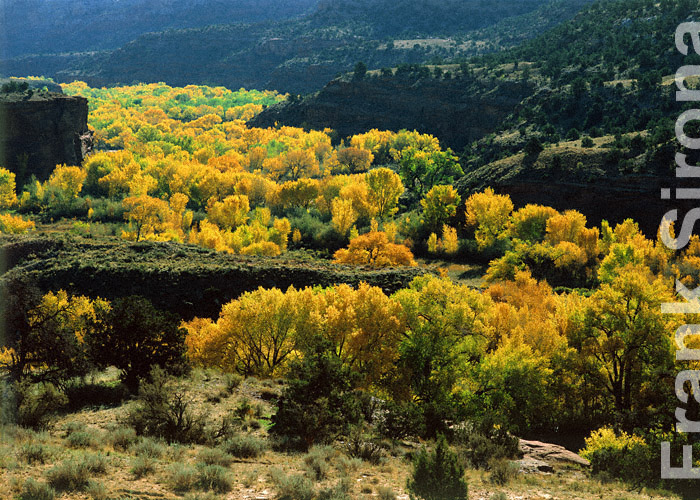 Golden Ribbon Escalante Canyon &copy; Frank Sirona